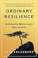 Algopix Similar Product 11 - Ordinary Resilience Rethinking How