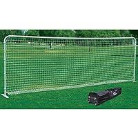 Algopix Similar Product 13 - AGORA 8'x24' Aluminum Flat Training Goal