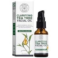 Algopix Similar Product 5 - Beauty Foundry Clarifying Tea Tree