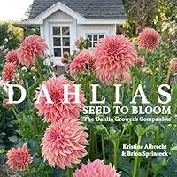 Algopix Similar Product 1 - Dahlias Seed to Bloom The Dahlia