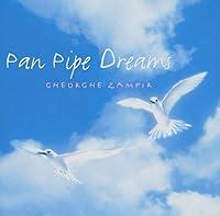 Algopix Similar Product 5 - Pan Pipe Dreams