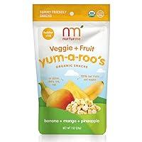 Algopix Similar Product 3 - NurturMe YumARoos Organic Toddler