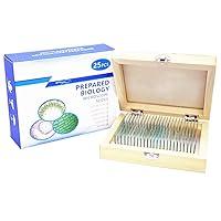 Algopix Similar Product 16 - 25 Prepared Microscope Slides for Kids