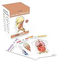 Algopix Similar Product 4 - Anatomy Flashcards 300 Flashcards with