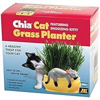 Algopix Similar Product 9 - CHIA Cat Grass Handmade Decorative