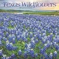 Algopix Similar Product 6 - Texas Wildflowers 2025 12 X 24 Inch