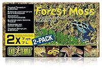 Algopix Similar Product 8 - Exo Terra Forest Plume Moss 7 Quarts