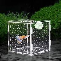 Algopix Similar Product 13 - PINVNBY Acrylic Fish Breeding Box