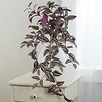Algopix Similar Product 9 - Factory Direct Craft Artificial