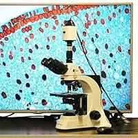 Algopix Similar Product 12 - 40X1500X Plan Infinity Laboratory