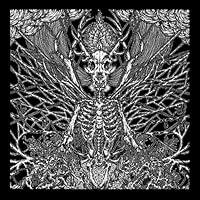 Algopix Similar Product 10 - Irregular Plane Figure [Explicit]