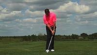 Algopix Similar Product 7 - Golf Digests Best Teachers  Sean