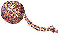 Algopix Similar Product 2 - Jackson Galaxy Skitter Ball Natural Cat