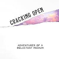 Algopix Similar Product 1 - Cracking Open Adventures of a