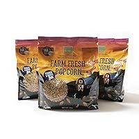 Algopix Similar Product 6 - Wabash Valley Farms Popcorn Kernels 