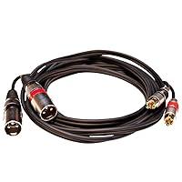 Algopix Similar Product 4 - Seismic Audio  SAXFRM2x5  Dual XLR