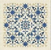 Algopix Similar Product 1 - Laundry Basket Quilts Traditional Quilt