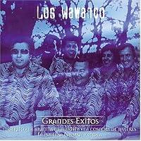 Algopix Similar Product 6 - Los Wawanco Grandes ExitosColeccion