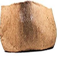 Algopix Similar Product 3 - Coco Liner 48 Trough
