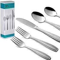 Algopix Similar Product 16 - Radley  Stowe 20Piece Silverware Set
