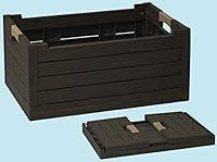 Algopix Similar Product 5 - DEA HOME Florida Box Folding Box