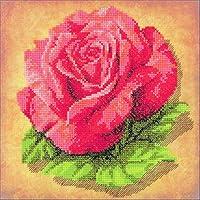 Algopix Similar Product 18 - RIOLIS Stamped Cross Stitch Kit