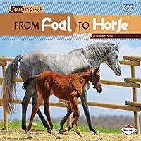 Algopix Similar Product 1 - From Foal to Horse
