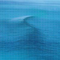 Algopix Similar Product 14 - Nowhere