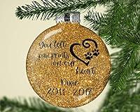 Algopix Similar Product 15 - Pet Loss Ornament Gift for Pet Owners