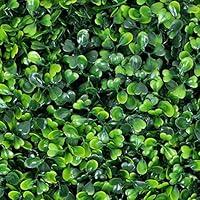 Algopix Similar Product 12 - Porpora Artificial Hedge Plant