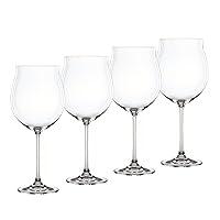 Algopix Similar Product 8 - Nachtmann Vivendi Pinot Noir Glasses 