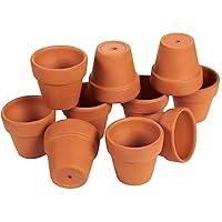 Algopix Similar Product 19 - Juvale 10 Pack 25 inch Mini Terra