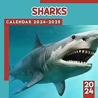 Algopix Similar Product 17 - Sharks Calendar 2024 Animals Calendar