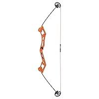 Algopix Similar Product 20 - Bear Archery Valiant Bow Set for Youth