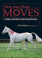 Algopix Similar Product 16 - How Your Horse Moves A unique visual