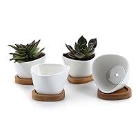 Algopix Similar Product 19 - T4U Small White Succulent Planter Pots