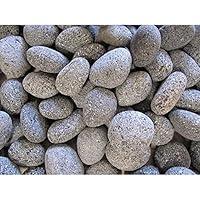 Algopix Similar Product 10 - Exotic 100532778 Pebbles, White