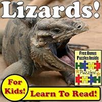 Algopix Similar Product 15 - Lizards Learn About Lizards While