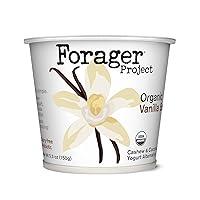 Algopix Similar Product 8 - Forager Project Cashewmilk Yogurt
