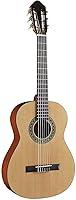 Algopix Similar Product 8 - Austin Guitars Classical 6 String