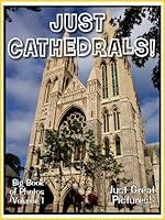 Algopix Similar Product 7 - Just Cathedral Photos Big Book of