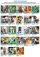 Algopix Similar Product 12 - Voyager StepIn Air Dog Harness  All