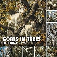 Algopix Similar Product 7 - Goats In Trees Calendar 2025 365 Days