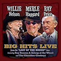 Algopix Similar Product 20 - Willie Merle  Ray Big Hits Live from