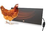 Algopix Similar Product 10 - Cozy Products Cozy Coop Chicken Coop