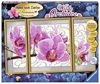 Algopix Similar Product 5 - Ravensburger 28969 1 Paint by Numbers