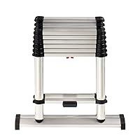 Algopix Similar Product 19 - Telesteps 12ES Telescoping Ladder