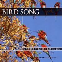 Algopix Similar Product 18 - Bird Song: Nature Recordings