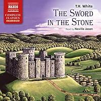 Algopix Similar Product 5 - The Sword in the Stone