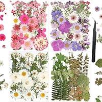 Algopix Similar Product 5 - nisetten 110PCS Pressed Flowers for